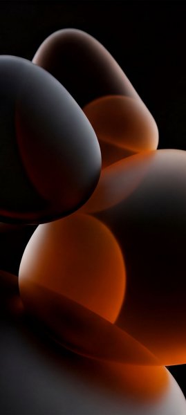 adapted 1080x2408 1775554662