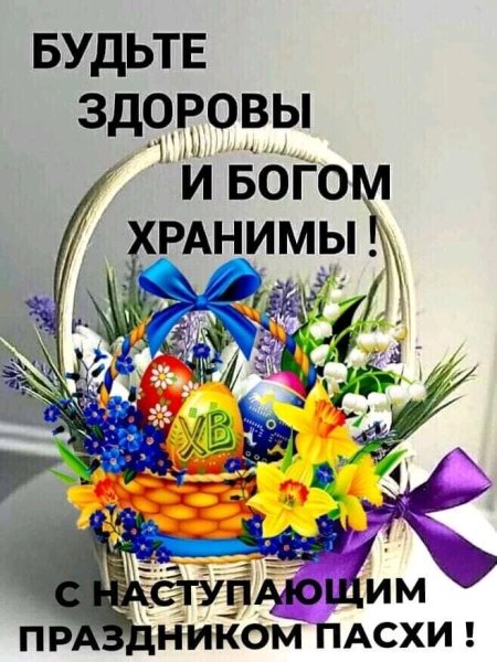 FB IMG 16515185767219454