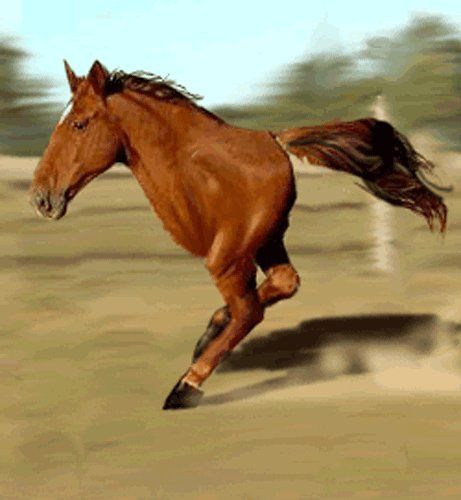 Тыгыдымск.конь