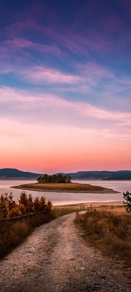file_101798186