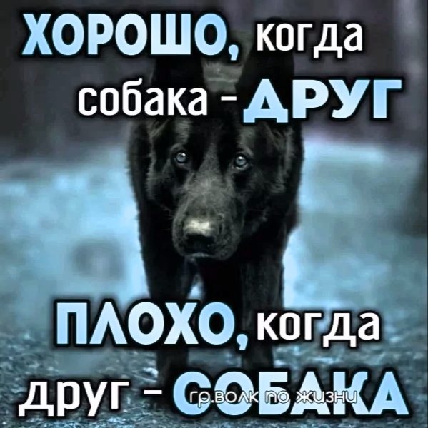 file_99613542