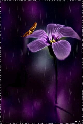 file_66817336
