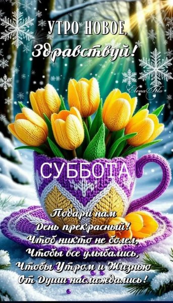 IMG 20260215 002024