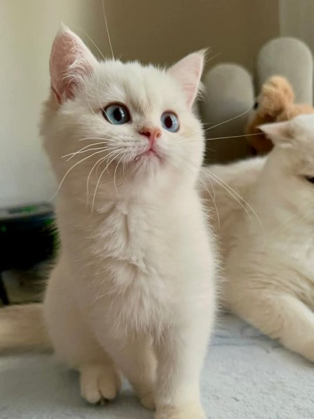 FB IMG 1772377981102