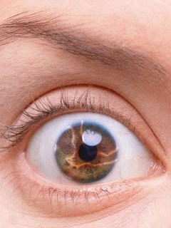 file_103786