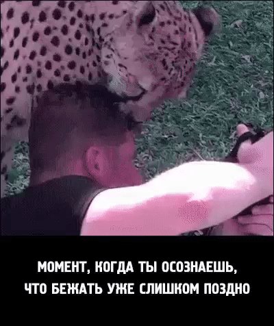 gif 1487252253