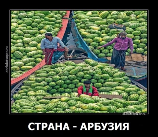 Страна -- АРБУЗИЯ
