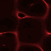 df4cee525