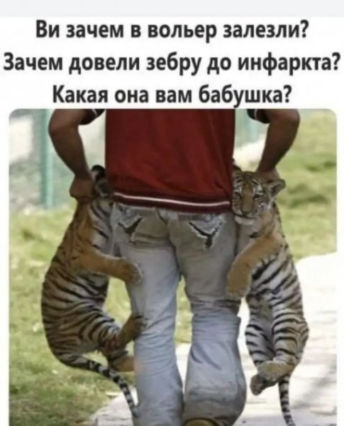 Screenshot 20260204-133829
