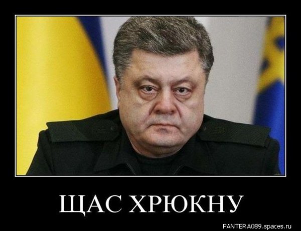 Свин парашенка