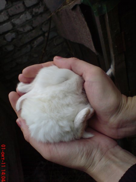 DSC00029