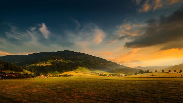 file_82136859