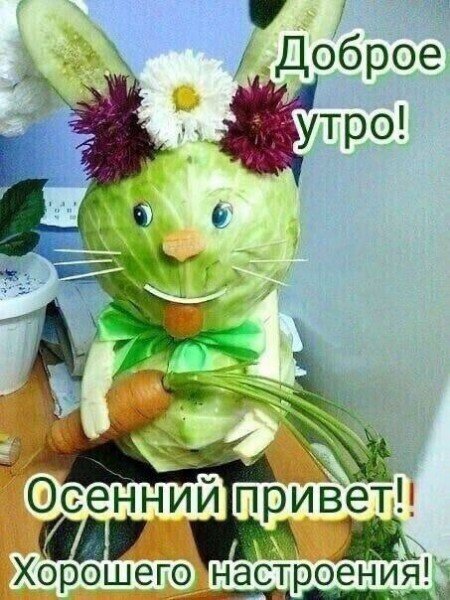 file_95154168