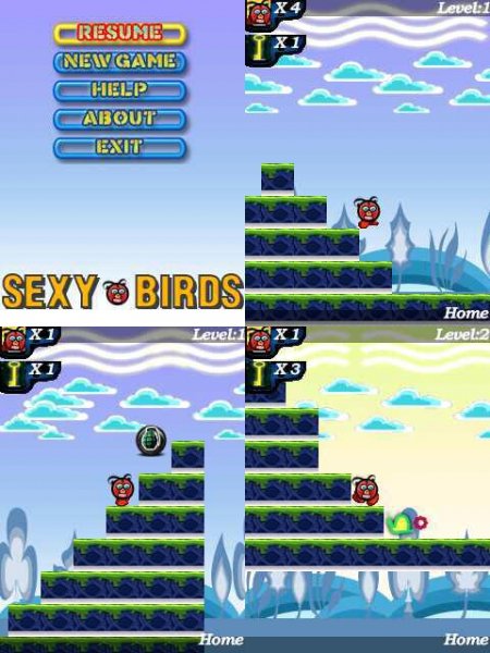 Sexy Birds 320x240 E72