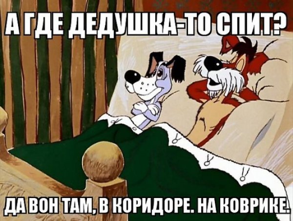 x500