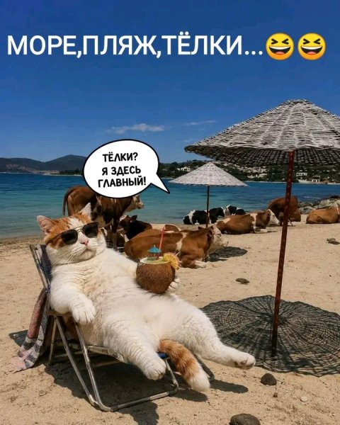 file_103189507