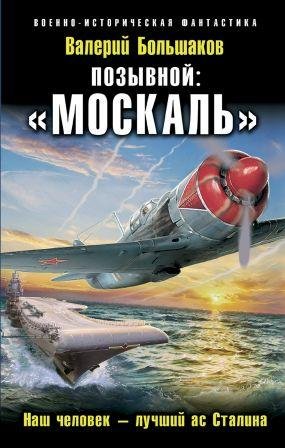 Позывной «Москаль». Наш человек лучший ас Ста