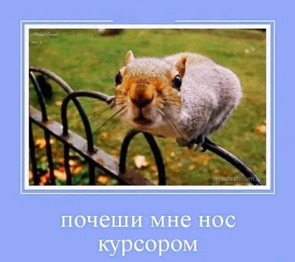 IMG 20220307 113846