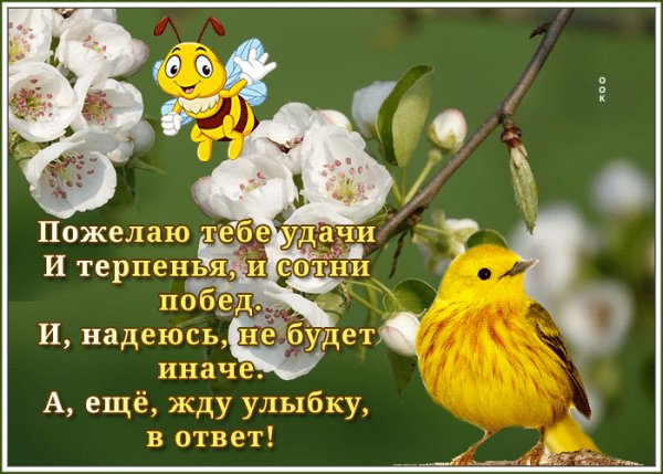 С днём рождения!