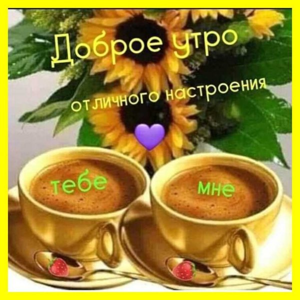 mPokPYoLivM