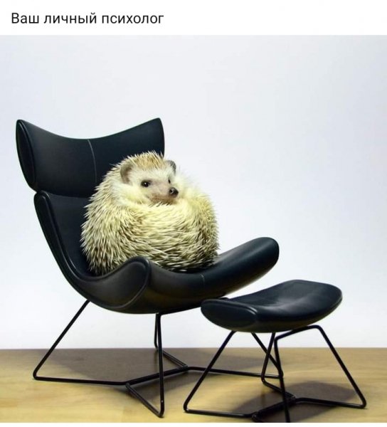 Ваш личный психолог