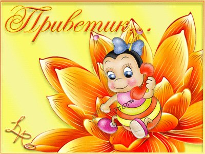 анимированная открытка приветик цветок