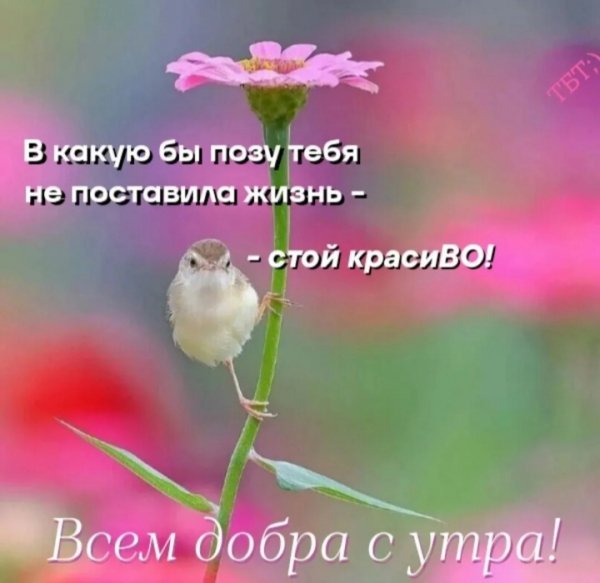 IMG 20260430 171841