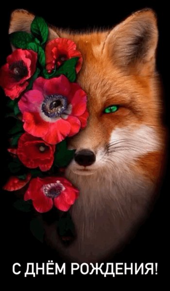 4f39a4181ad7ac9ac079526490e328b1