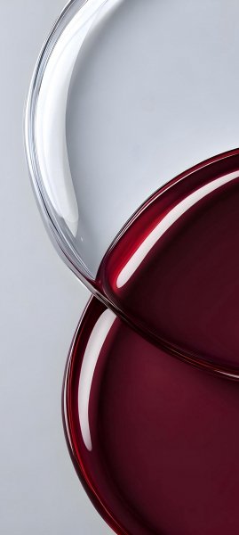 adapted 1080x2408 1776331072