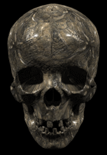 Scary 54