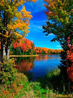 file_59216935