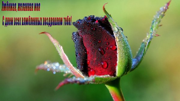 Happy Valentine