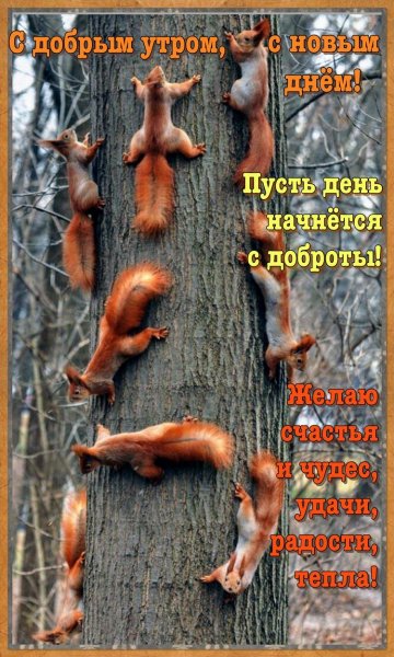 file_91692132