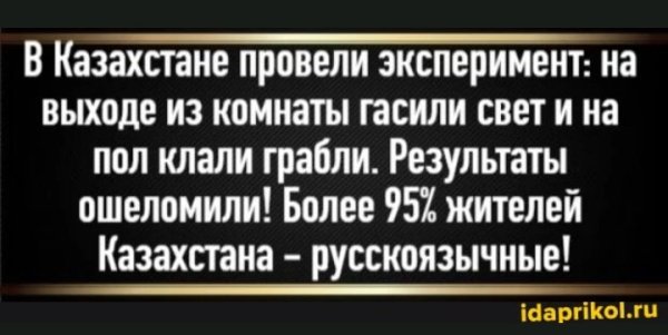 50 (1)