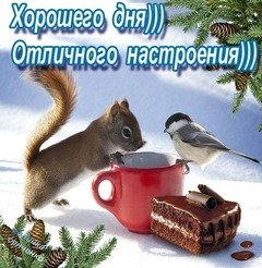 Хорошего дня