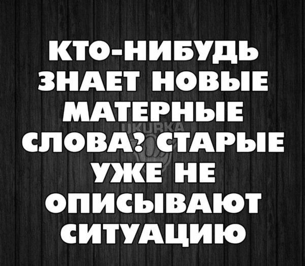 IMG 20241005 220419