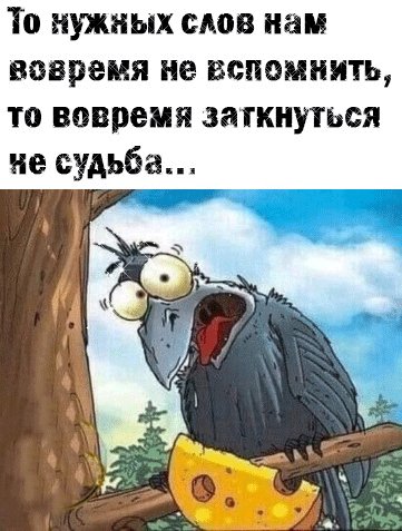 3MmXsfMJv3M