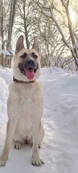 OKJYYFDSERFCBBNVX131Q