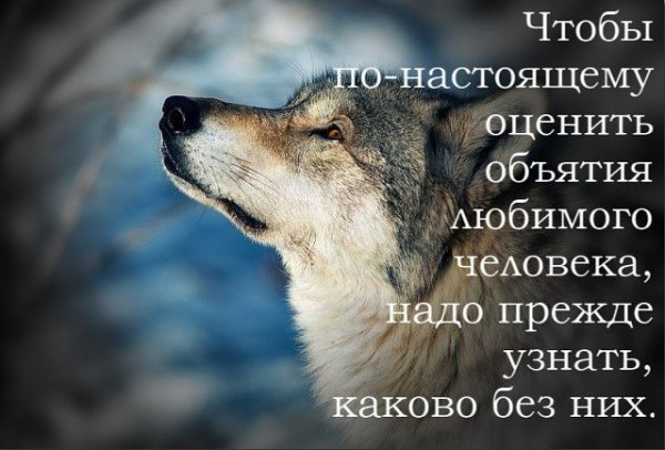 Оценка