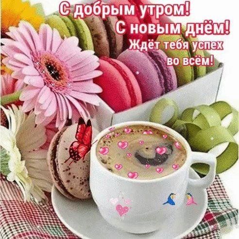 IMG 20190805 334759