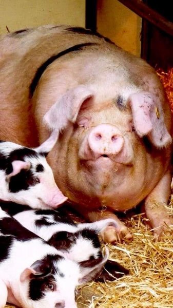 78dd6cedb37c8024a2dc584ced3e8677