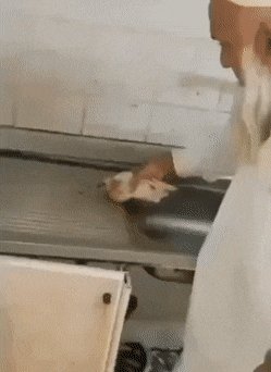 Мухобойка))