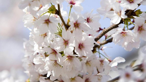 file_78567283