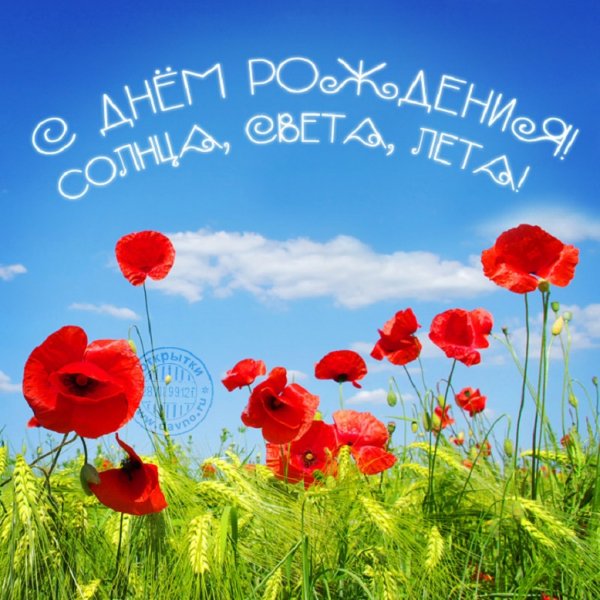 С днём рождения! Солнца, света, лета!