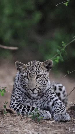 Priznajtes-tozhe 19187