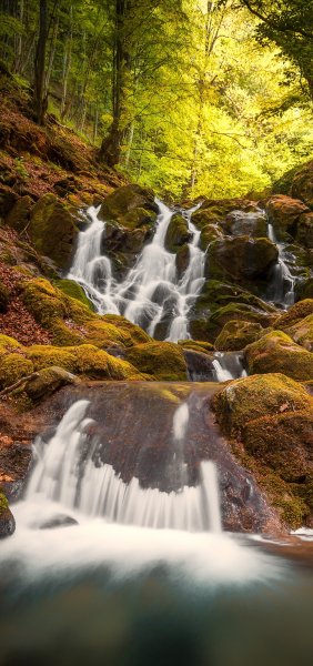 file_101759512