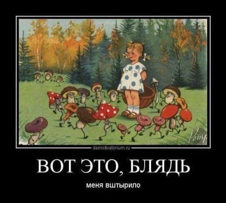 file_83517433