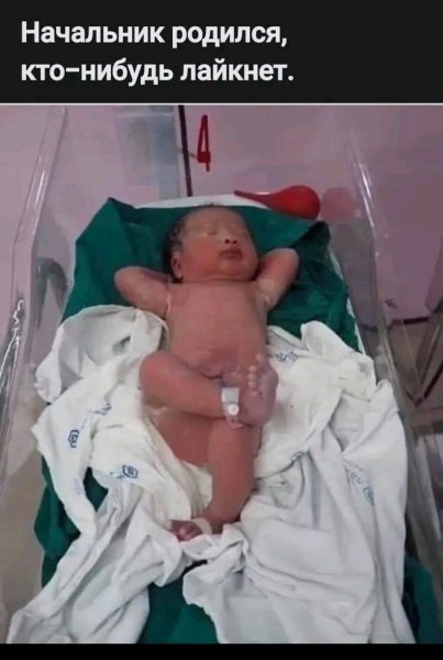 FB IMG 16589816551089829