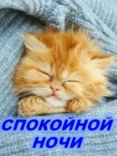 Спокойной ночи