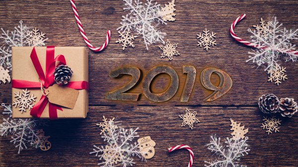 С Новым 2019! (55)